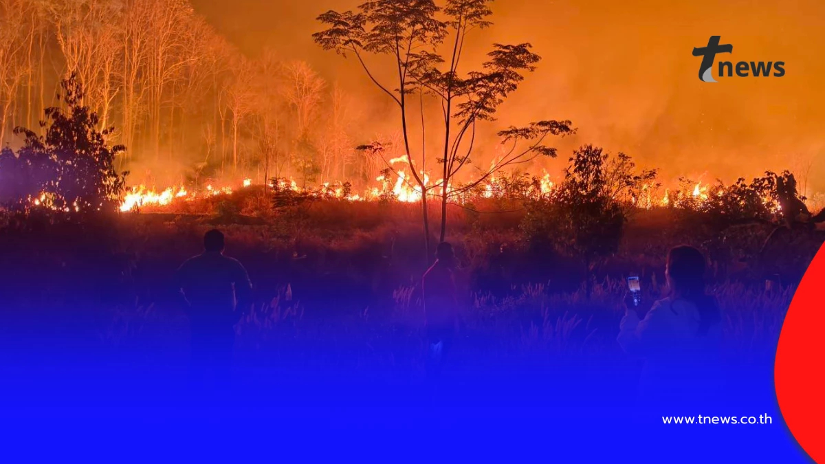 ไฟป่าสะแกราชลามหนัก เสียหายวงกว้าง เจ้าหน้าที่ยังคงเฝ้าระวัง