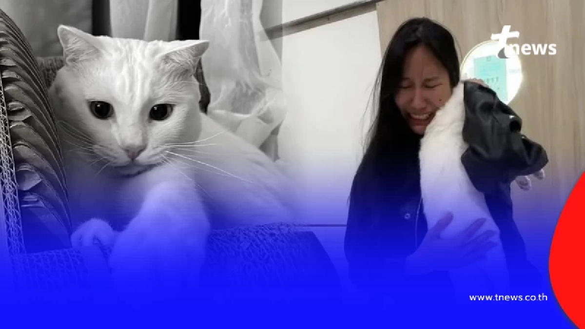 เจ้าของพูดแล้ว ทำไมยังไม่บอกสาเหตุสูญเสีย "ไข่ขาวลูกแมร๊"