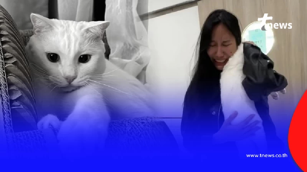 เจ้าของพูดแล้ว ทำไมยังไม่บอกสาเหตุสูญเสีย "ไข่ขาวลูกแมร๊"