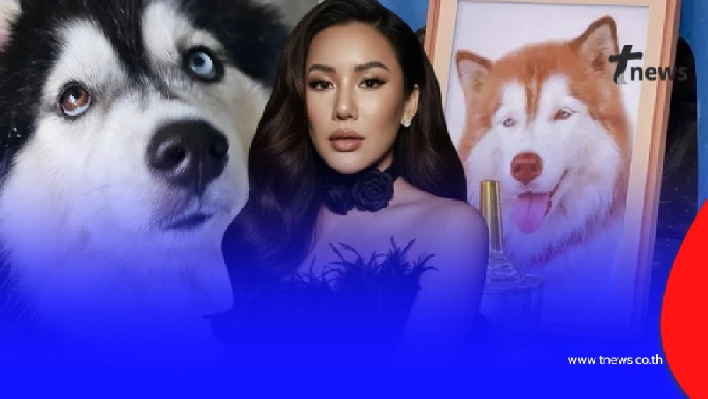 อดีตเจ้าของ "มอลลี่-เบ็ตซี่" เปิดสาเหตุหาบ้านใหม่ ทั้งที่รักมาก