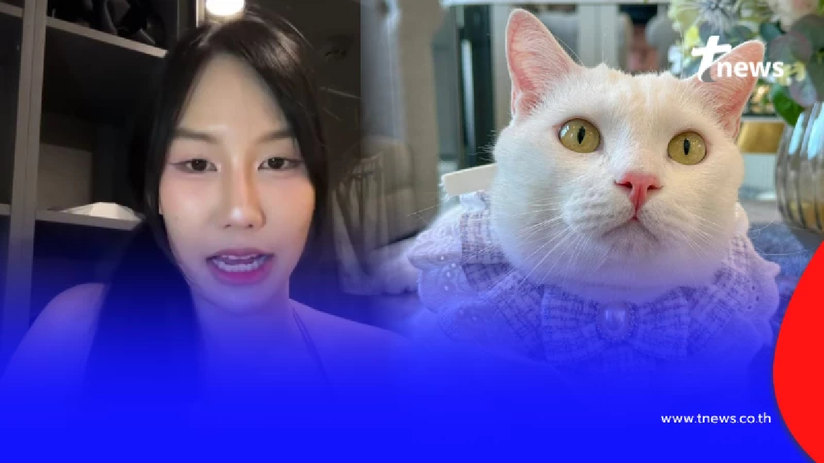 ยิ่งเศร้า เจ้าของพูดแล้วสาเหตุ "ไข่ขาวลูกแมร๊" กลับดาวแมว