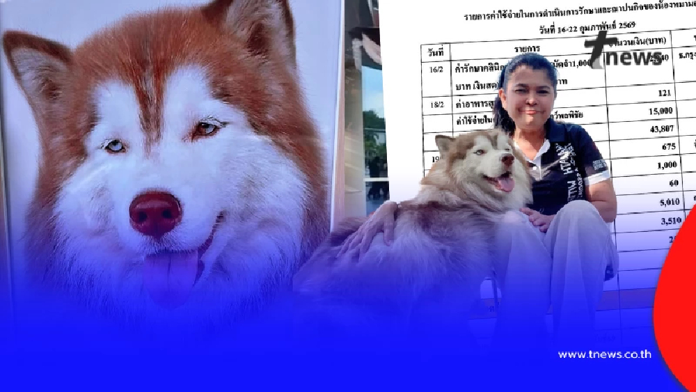 เจ้าของเปิดรายการใช้จ่ายทั้งหมด เงินบริจาค ค่ารักษา "มอลลี่"