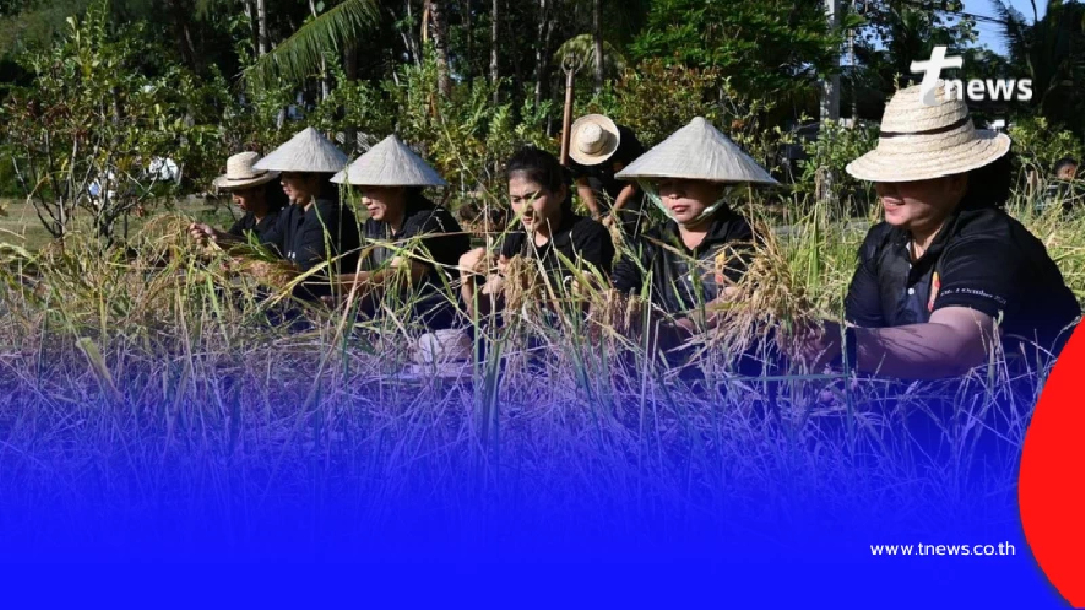 ภาพหาดูยาก มนต์เสน่ห์วิถีไทยที่ใกล้หายไปจากสังคมเมือง