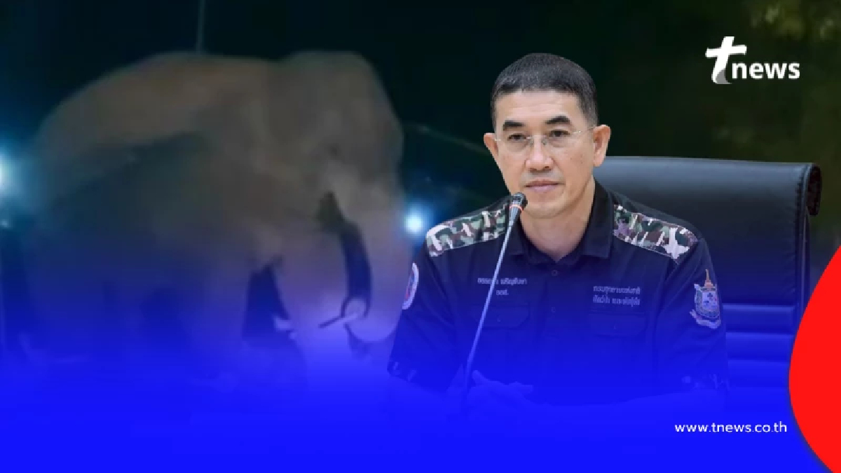 อธิบดีกรมอุทยาน แจงแล้ว ทุกปมดราม่าเคลื่อนย้าย "สีดอหูพับ"