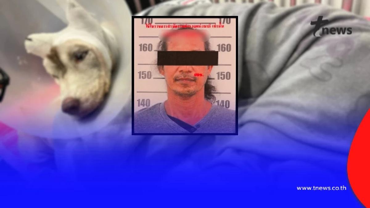 อ่วม! เปิดข้อหา มือก่อเหตุทำร้าย "น้องมอลลี่" ยอมสารภาพสิ้น