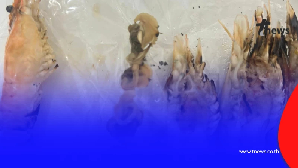 หนุ่มสั่งกุ้งเดลิเวอรี่ เปิดกล่องแล้วอึ้ง ถามตรงๆ สมเหตุสมผลไหม