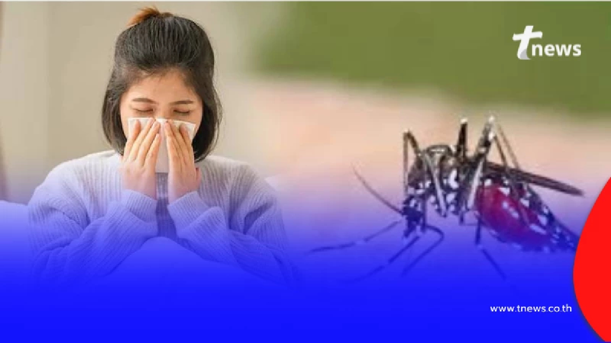 วิธีรับมือ 3 โรคร้ายจากยุงลาย พร้อมเตือนเรื่องยาลดไข้ ที่หลายคนยังเข้าใจผิด