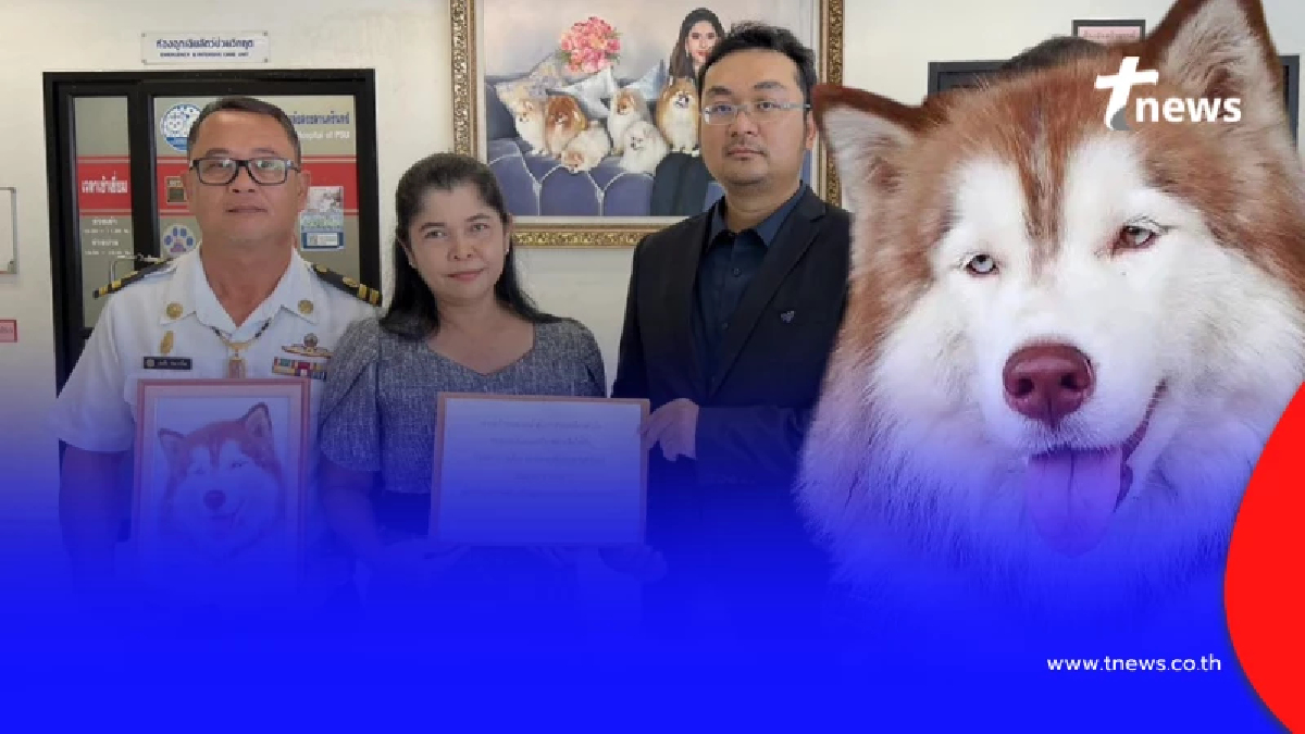 เจ้าของมอบเงินบริจาคช่วย "น้องมอลลี่" ให้รพ.สัตว์ มอ. เปิดยอดชัด