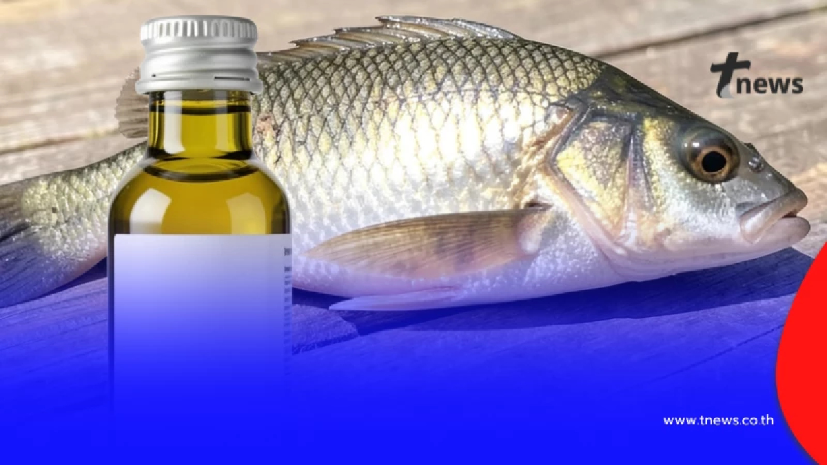 เข้าใจผิดหมด เฉลยแล้ว "น้ำมันปลา" กับ "น้ำมันตับปลา" ต่างกันยังไง