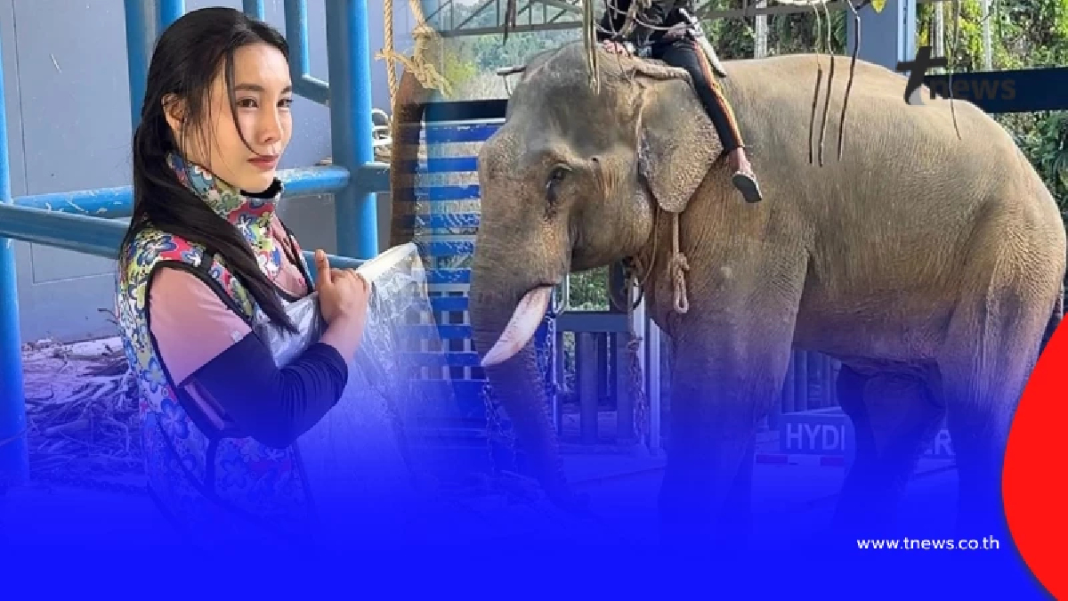 หมอโบว์ ปล่อยโฮ ผลเอ็กซเรย์ "พลายเดียว" สิ่งที่กลัวเกิดขึ้นจริง