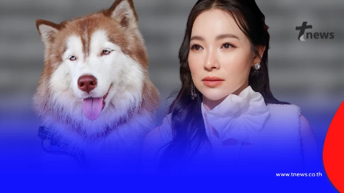 "ดีเจต้นหอม" ตัดสินใจลั่นเดือด ถึงคนที่ทำกับ "น้องมอลลี่" แล้ว