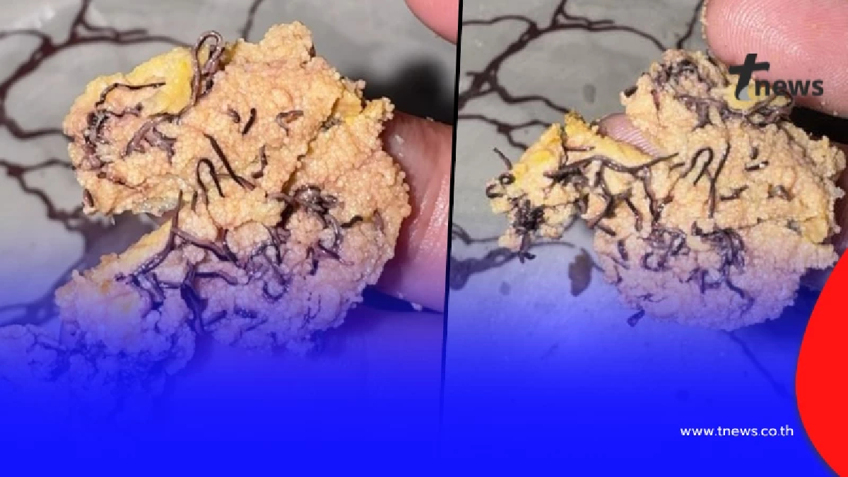 รู้แล้ว หนุ่มเจอเส้นประหลาด ใน "ไข่ปลาทู" ที่แท้ มันคืออะไร