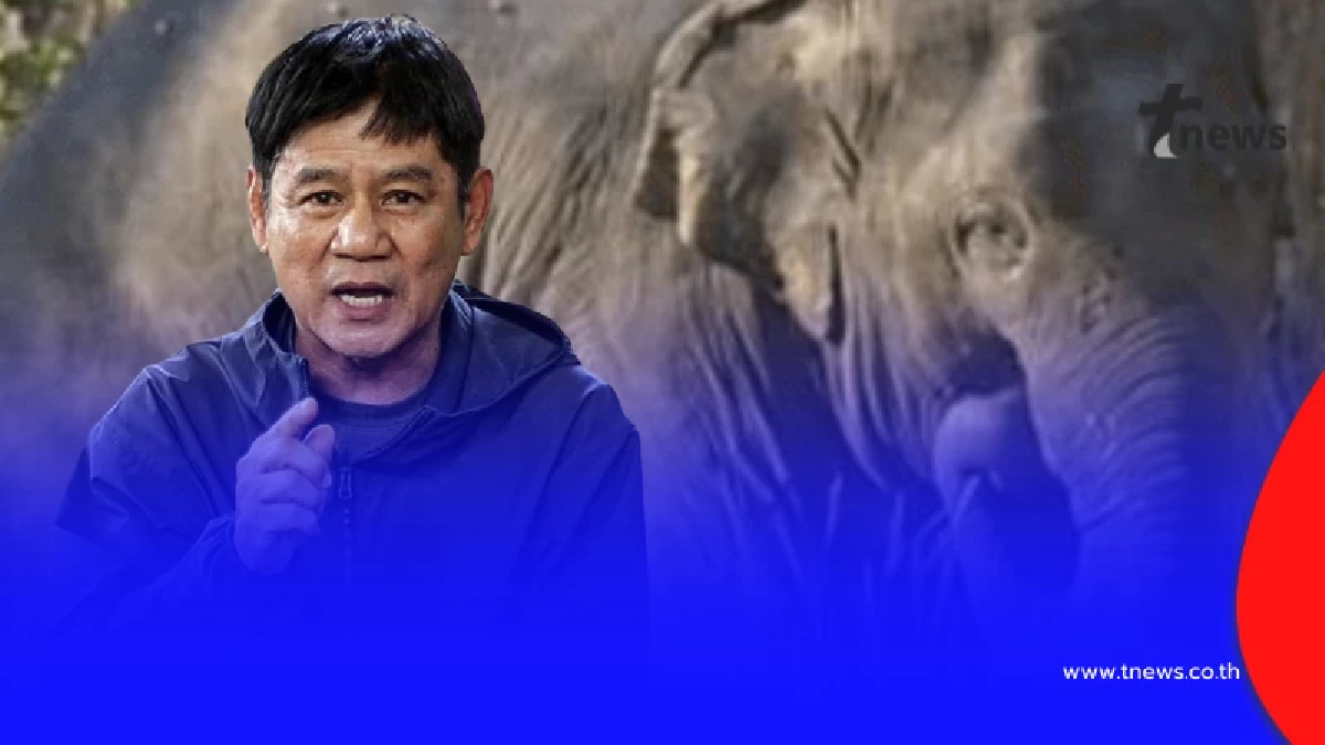 อดีตบิ๊กอุทยานฯ ชี้ชัด 7 ปัจจัยคุกคาม ช้างป่ากำลังจ่ายด้วยชีวิต