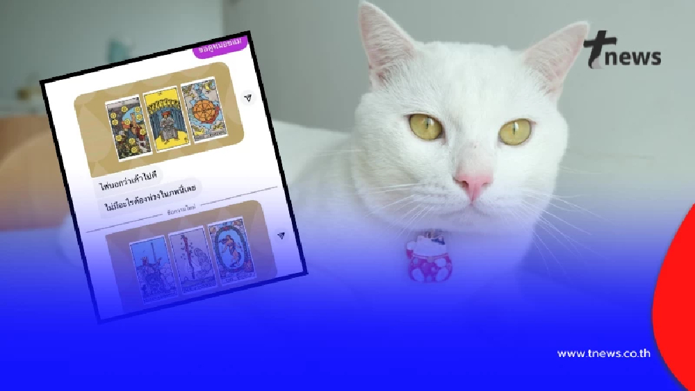 น้ำตาไหล เปิดไพ่ชีวิต "ไข่ขาวลูกแมร๊" หลังเสียชีวิตกะทันหัน