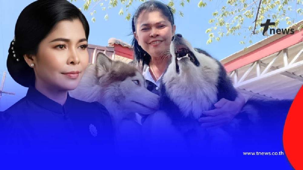 เจ้าของใหม่ แจงดราม่า "มอลลี่-เบตซี่" เผยสาเหตุหลุดออกจากบ้าน