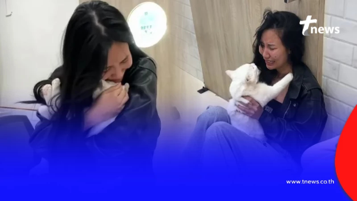 คลิปนาทีสูญเสีย "ไข่ขาวลูกแมร๊" ใจสลาย อยากให้เป็นแค่ฝัน