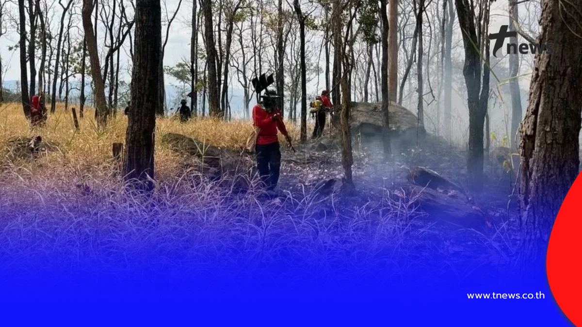 ชัยภูมิเร่งคุมไฟป่า หลังพบจำนวนฮอตสปอตพุ่งเกือบ 1,000 จุด