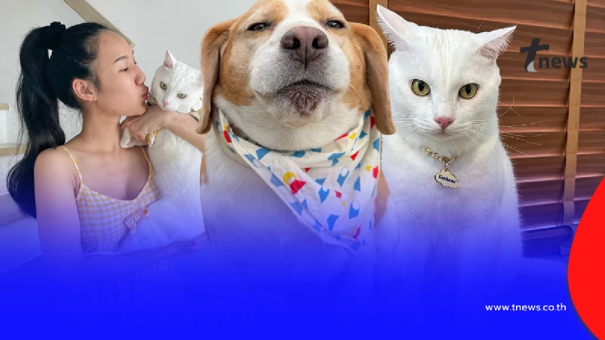 น้ำตาซึม เปิดข้อความ จากหัวใจ “มู่ทู่” หลังการจากไปของ "ไข่ขาว"