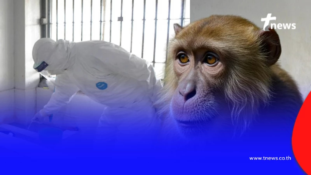 ด่วน พบผู้ติดเชื้อ "ฝีดาษลิง" ในเรือนจำเพิ่มอีก 2 เปิดอาการล่าสุด