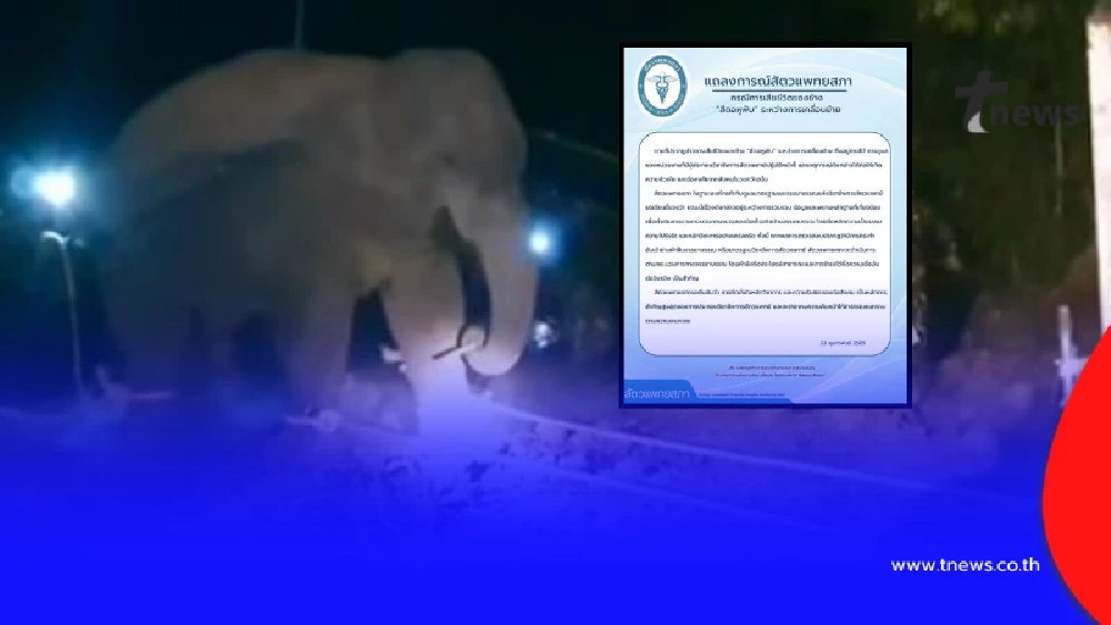 "สัตวแพทยสภา" ชี้แจงล่าสุด เรื่อง "สีดอหูพับ" ล่าสุดแล้ว