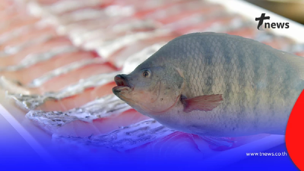 ชาวยะลาเฮ! "ปลานิลสายน้ำไหลเบตง" ได้รับ GI รายการที่ 6 ของจังหวัด