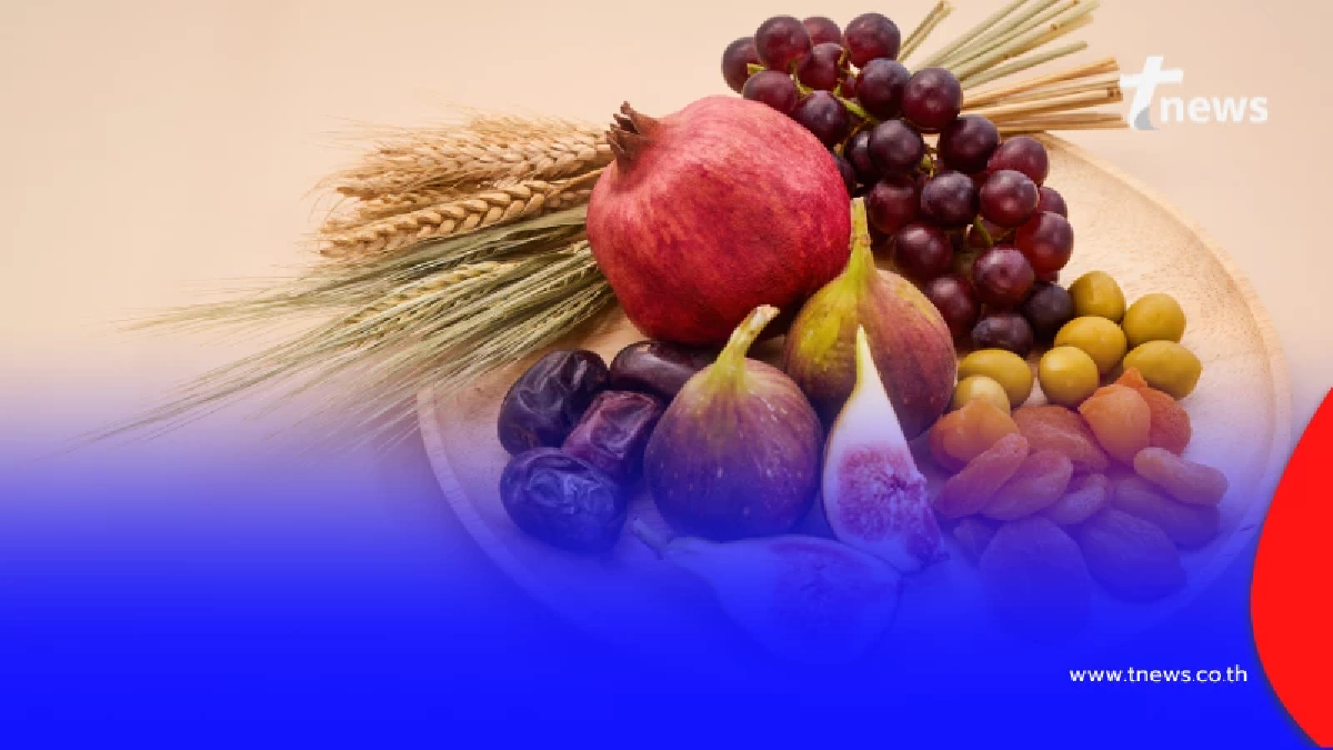 ฤกษ์มงคลเดือนกุมภาพันธ์ 2569 หมอช้างเผย มีเพียง 3 วันเท่านั้น