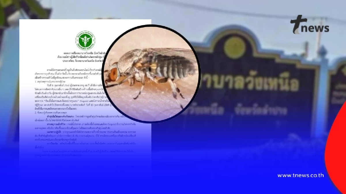 รพ.วังเหนือ แจงชัดข้อสงสัย เคสชายวัย 68 ถูกตัวคุ่นกัดเสียชีวิต