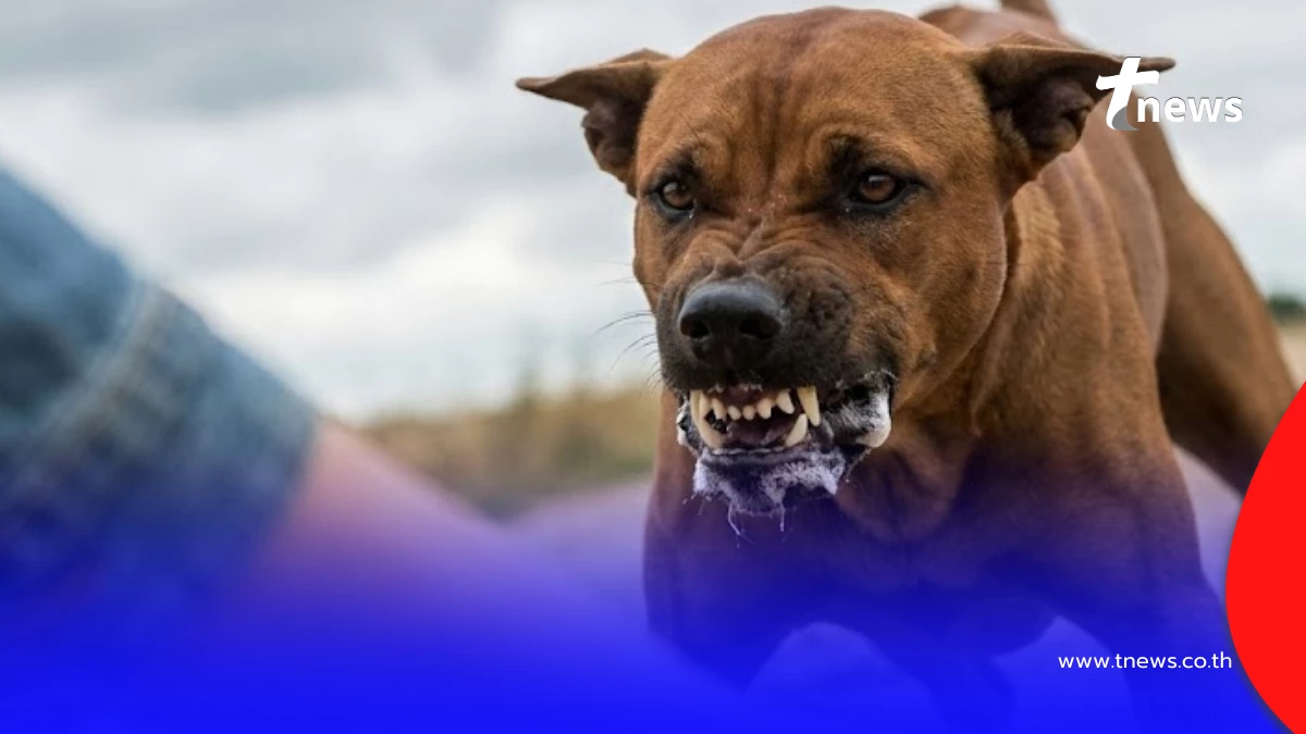 ด่วน! "โคราช"ดับแล้ว1ราย เซ่นพิษสุนัขบ้า เปิดไทม์ไลน์โดนกัด