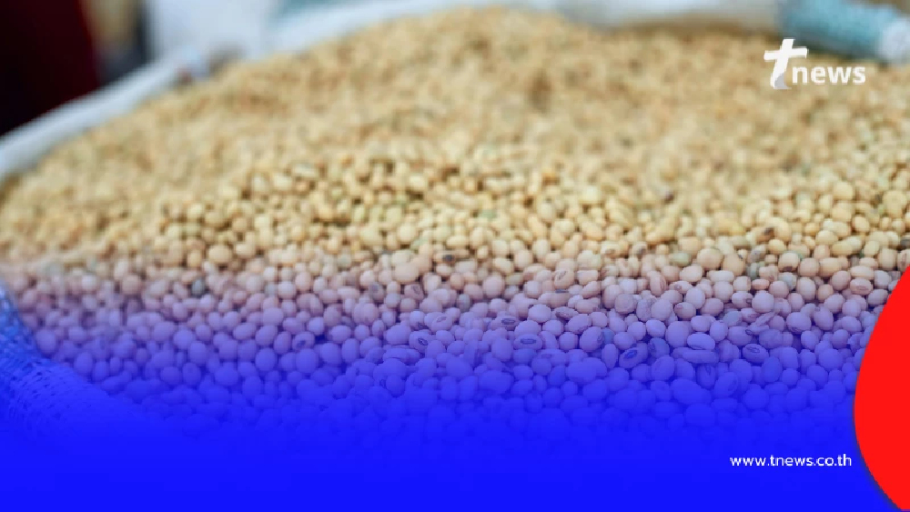 ครม. ไฟเขียวนำเข้า "กากถั่วเหลือง" หนุนอุตสาหกรรมอาหารไทย