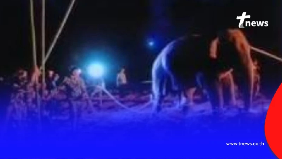 เหตุผลต้องขนย้าย "สีดอหูพับ" ออกจากจ.ขอนแก่นโดยเร็วที่สุด