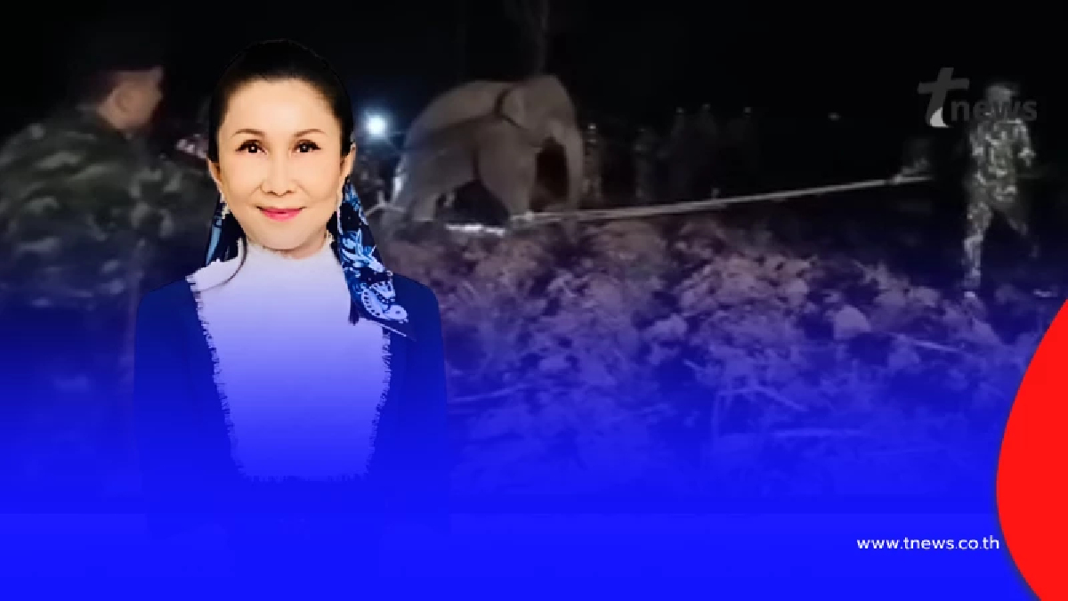 "หนูนา" เดือด คาใจ 4 จุดพิรุธ ภารกิจย้ายช้าง ทำไม "หูพับ" ไม่รอด