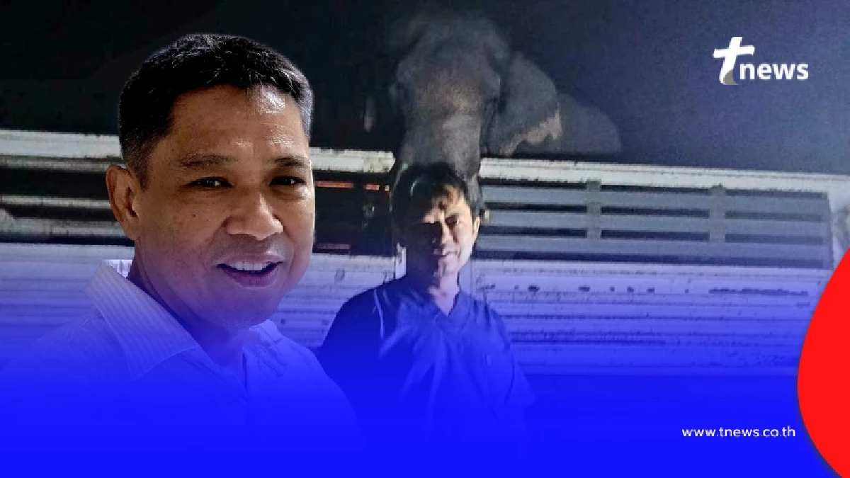 "หมอเผด็จ" ขอพูดตรงๆ ยิงยาซึมเพื่อควบคุมช้าง สิ่งสำคัญกว่าโดสยา