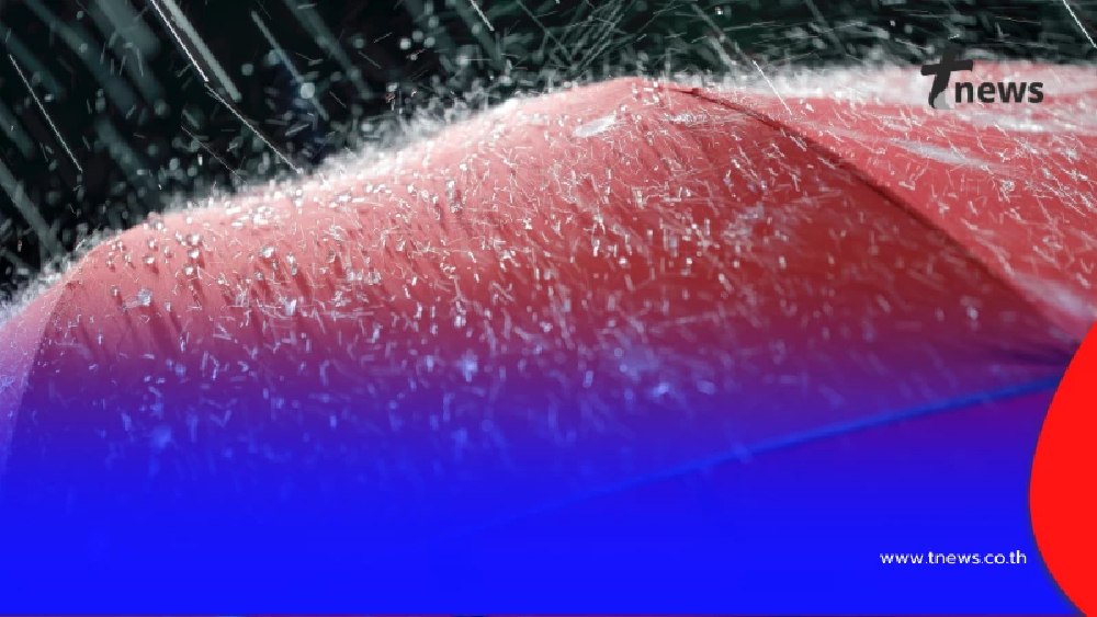 กรมอุตุฯ เตือน 3 จังหวัด ฝนตกหนัก เฝ้าระวังน้ำท่วมฉับพลัน