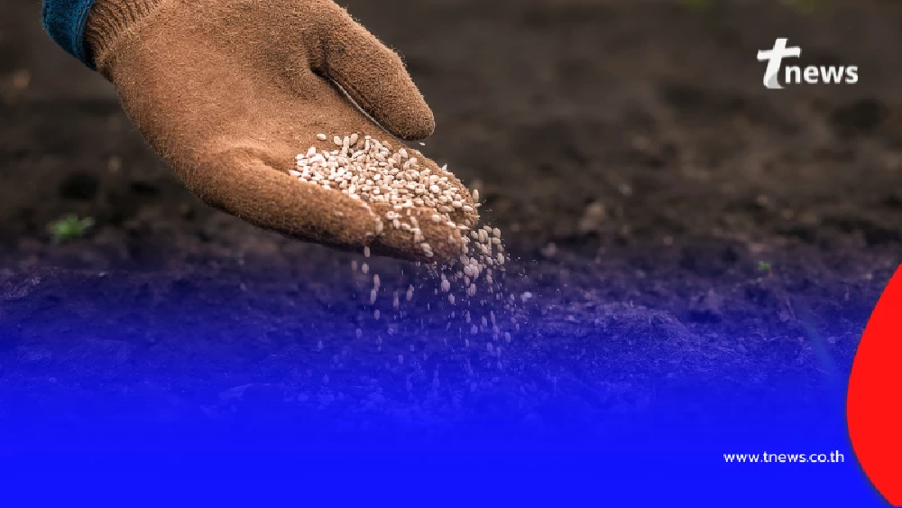 รัฐยันปุ๋ยมีพอใช้ถึง ส.ค. 69 เตือนร้านค้าห้ามอัพราคา ฝ่าฝืนโทษหนัก