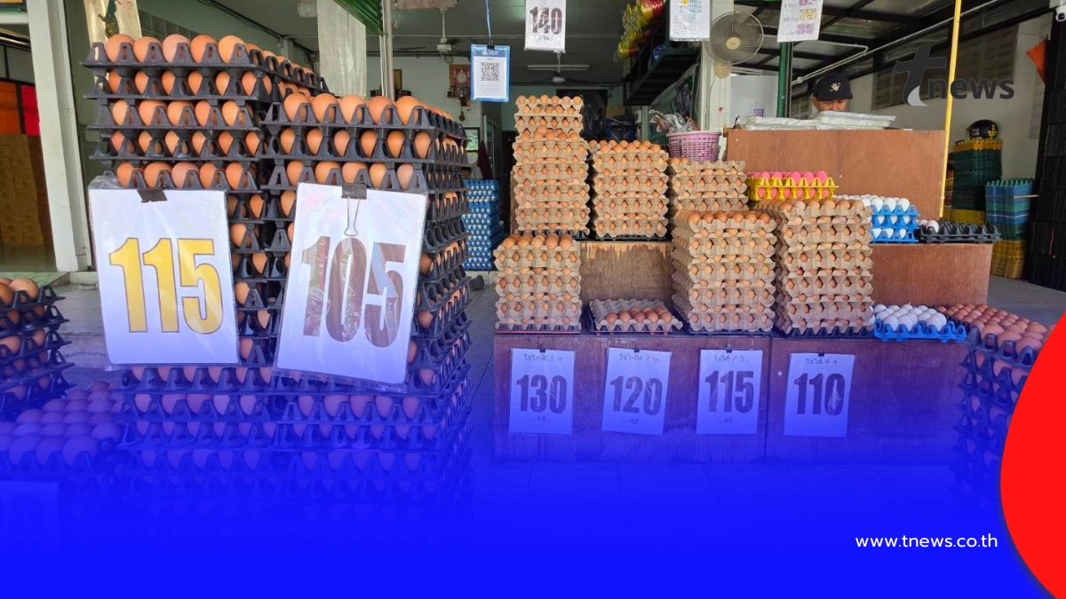 ไข่ไก่ปรับขึ้นแผงละ 6 บาททั่วไทย ชี้อากาศร้อนทำผลผลิตวูบ