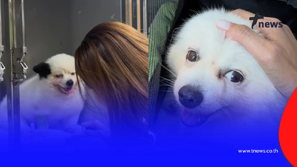 “หญิง รฐา” สูญเสีย “น้องร่ำรวย” เพื่อนรัก 11 ปี หลังป่วยหนัก