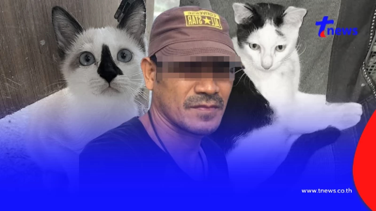 รุมสาป ตชด.กร่าง ลงมือแมว 2 แม่ลูกคาฐาน อ้างเหตุผลเกินรับได้