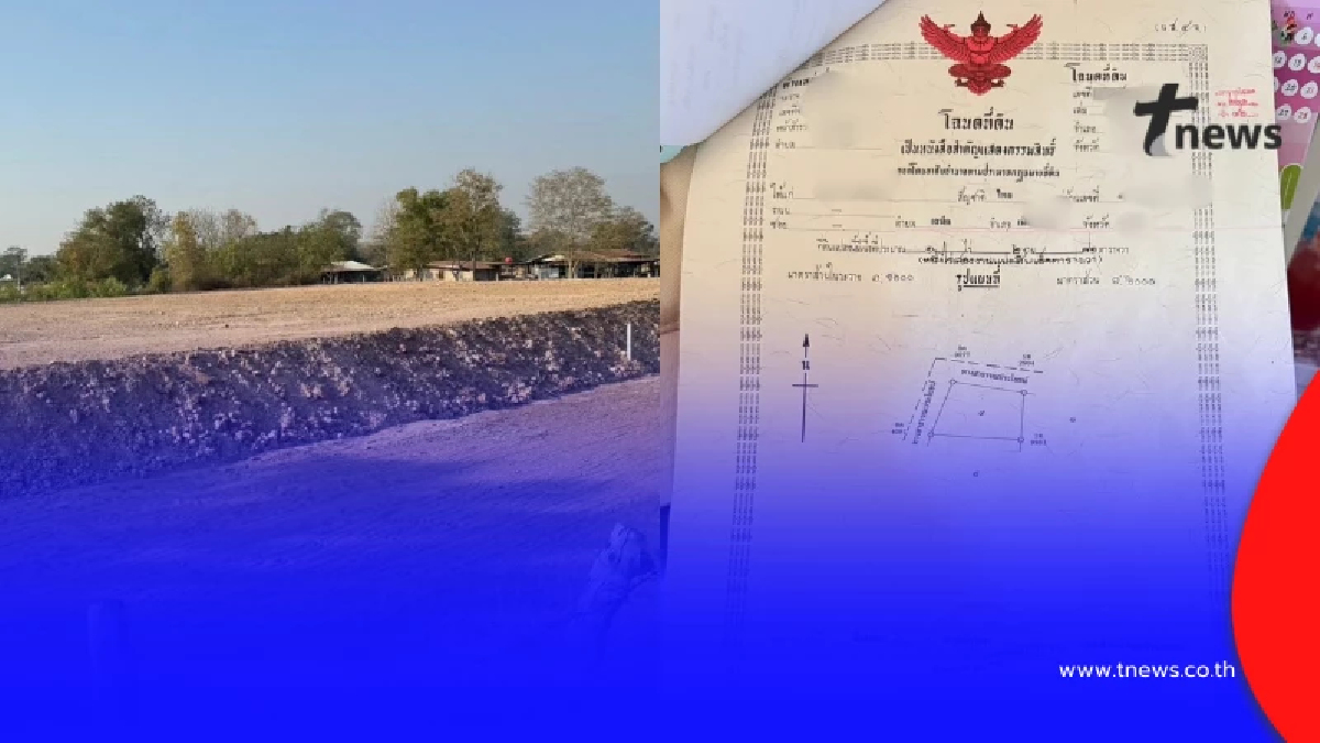 ฮือฮา หนุ่มขอแลกที่ดิน 2 ล้าน "การ์ดวันพีซ" ลั่น กระดาษแลกกระดาษ