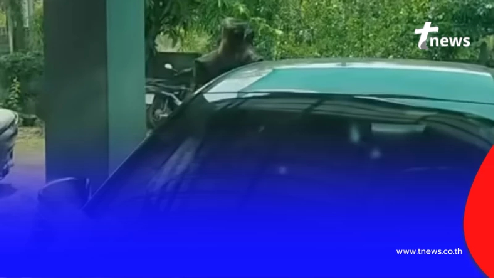 ผัวหัวร้อน บุกบ้านอดีตเมีย ขอสินสอดคืน บอกอยู่กินด้วยกันไม่คุ้ม