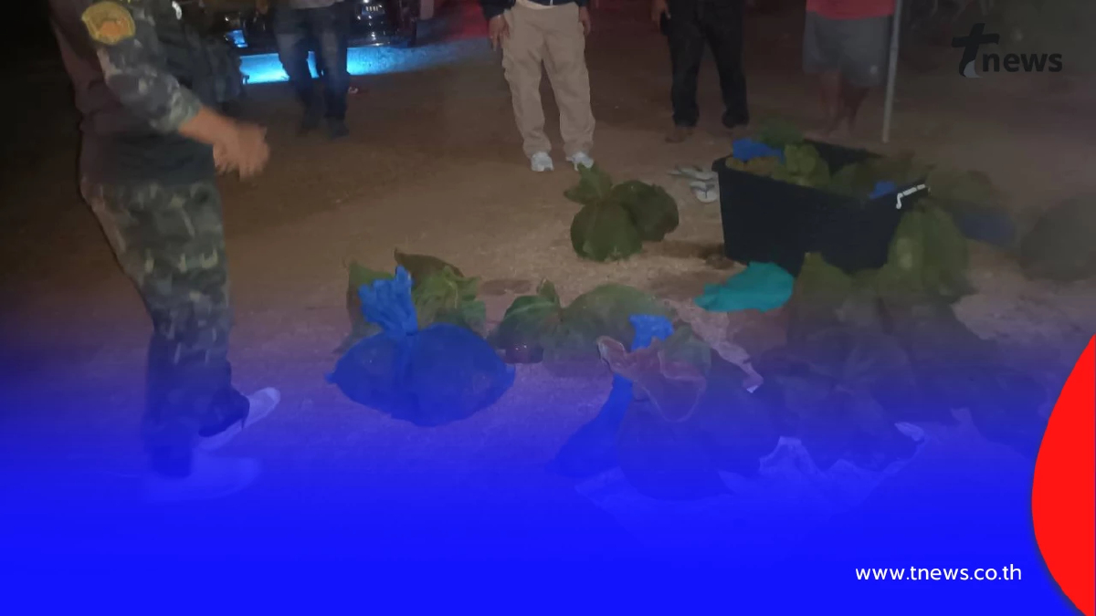 บุกรวบแก๊งค้าลิงแสม 38 ตัวที่สระแก้ว เร่งสาวถึงต้นตอ!