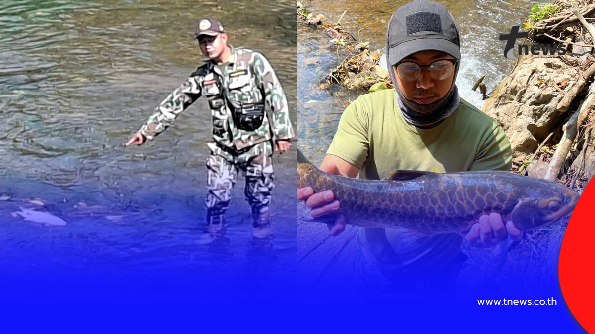 วิกฤตปางมะผ้า! ปลาแม่น้ำลางตายปริศนา สั่งห้ามกินเด็ดขาด