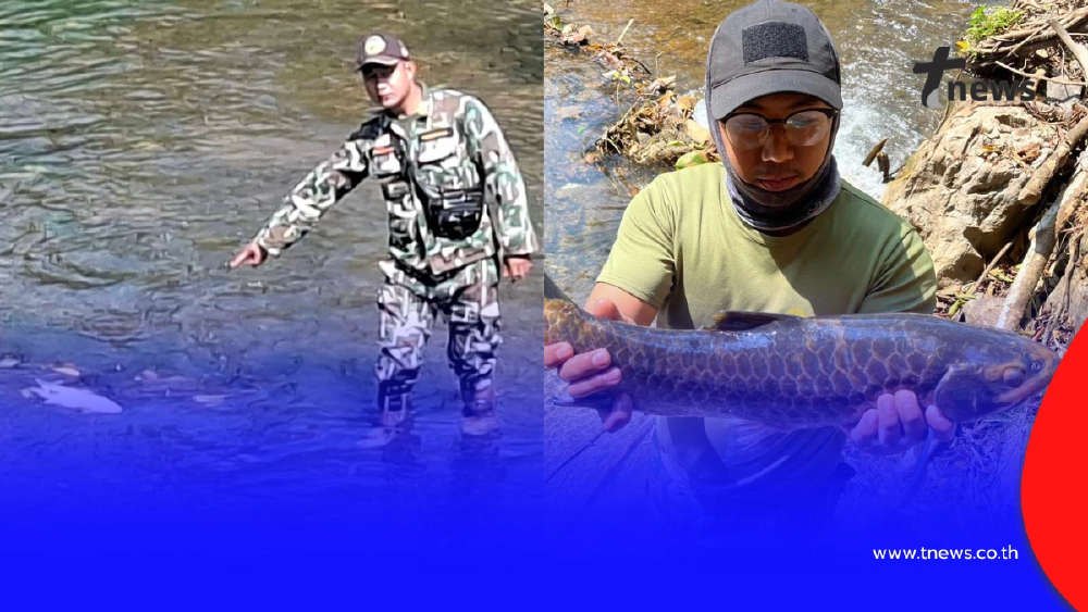 วิกฤตปางมะผ้า! ปลาแม่น้ำลางตายปริศนา สั่งห้ามกินเด็ดขาด