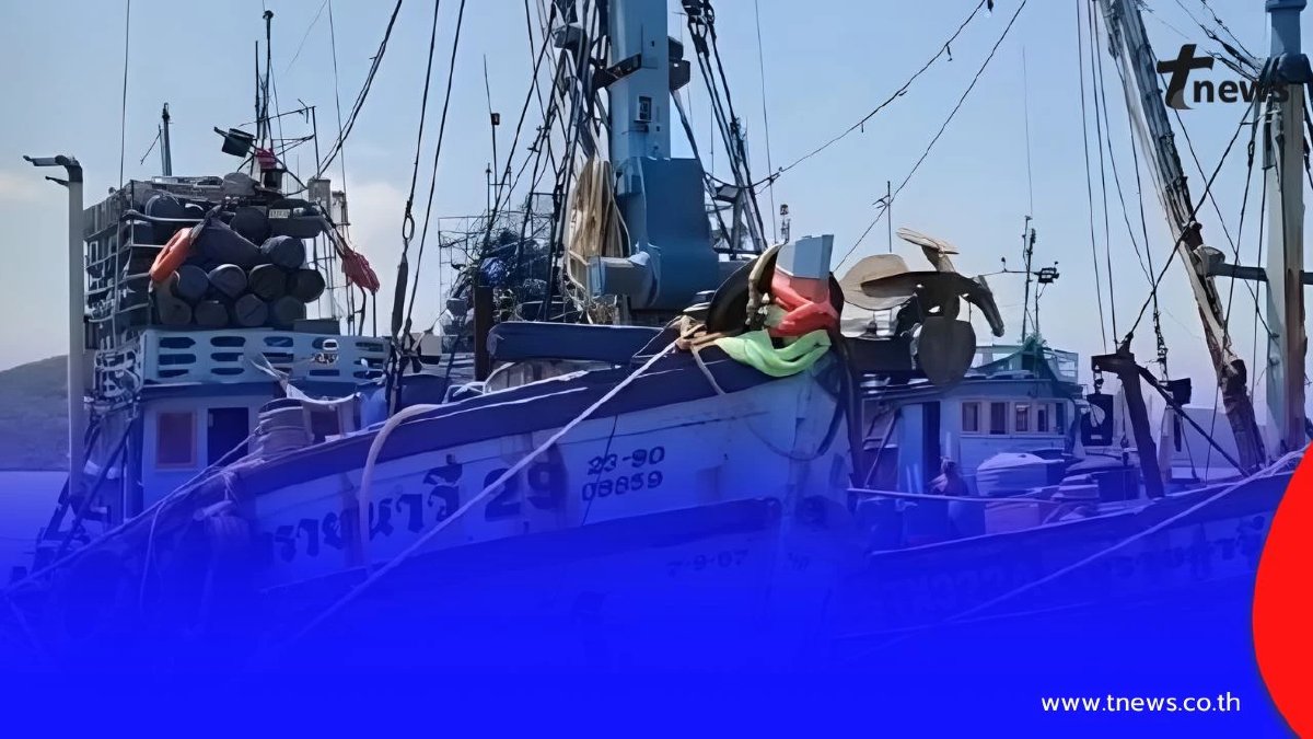 วิกฤตประมงใต้! น้ำมันเขียว พุ่ง 119% สงขลา–ปัตตานีเสี่ยงจอดเรือ