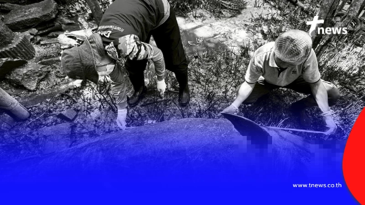 น่าเศร้า เปิดผลชันสูตรซาก เจอแล้วสาเหตุเสียชีวิตสุดสลด