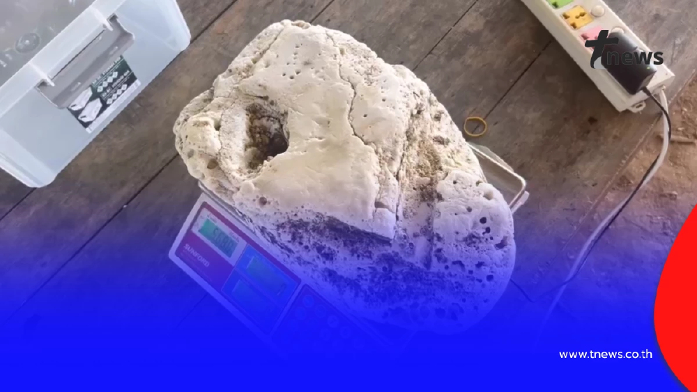 หนุ่มระยอง! พบอ้วกวาฬยักษ์หนัก 5.6 กก. ลอยเกยหาดทะเลงาม