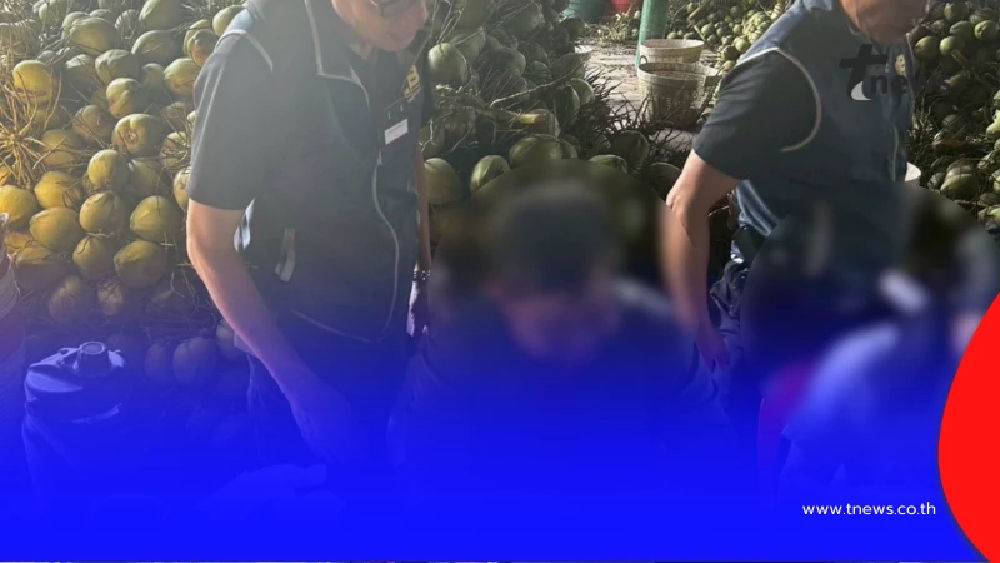 เปิดปฏิบัติการปูพรมตรวจค้นเครือข่ายล้งมะพร้าวนอมินีข้ามชาติ