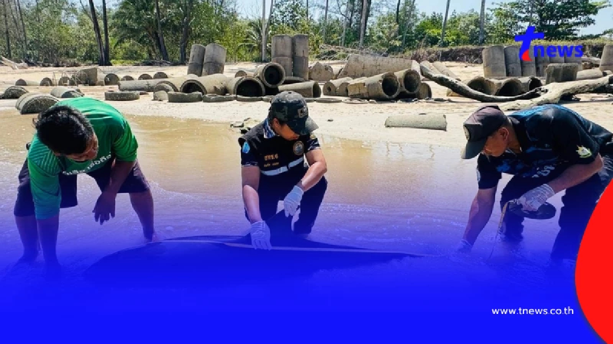 สลดหนักอีก สูญเสียสุดเศร้า ร่างเกยตื้นริมหาด หาสาเหตุด่วน