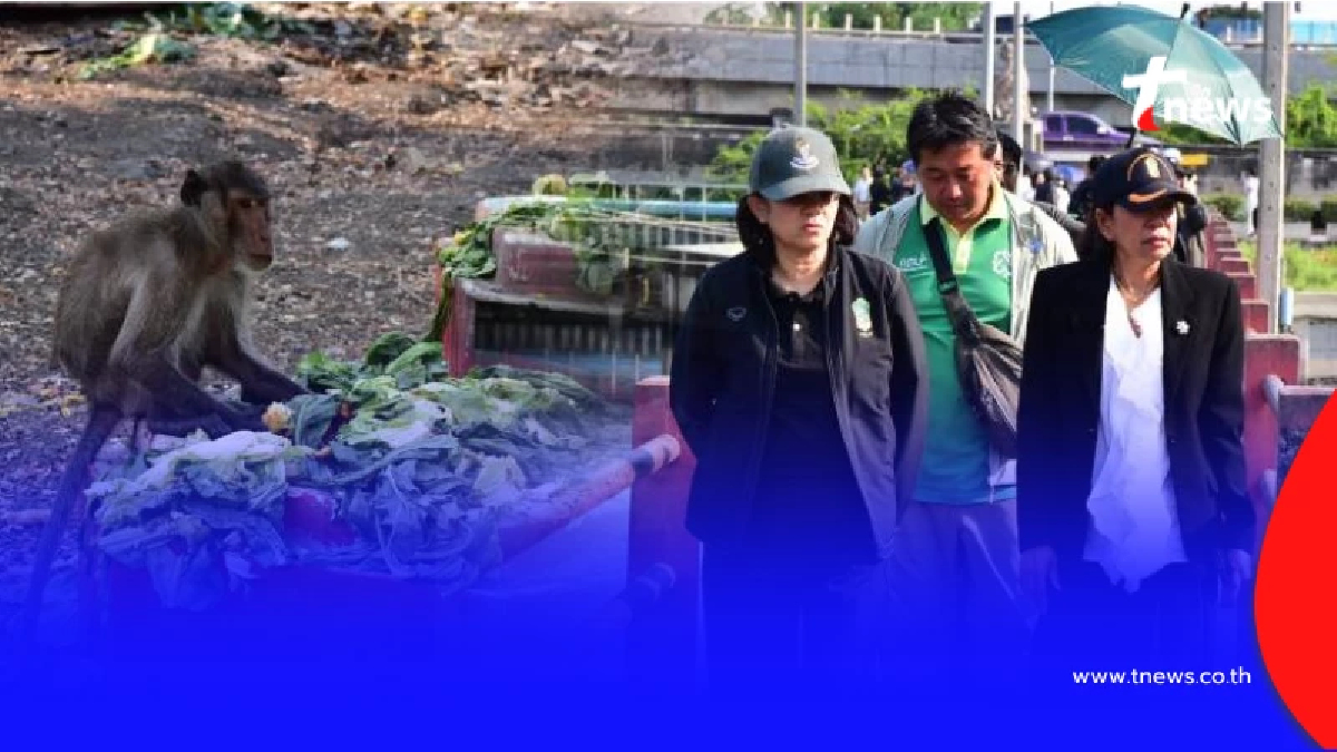 กทม. ลุยแก้ลิงบางขุนเทียน จัดโซนนิ่ง-สร้างบ้านใหม่ 12 ไร่