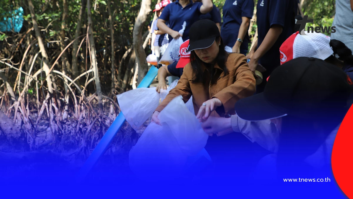 สมุทรสาครผนึกเอกชนปล่อยพันธุ์สัตว์น้ำ 2.1 แสนตัวฟื้นฟูมหาชัย