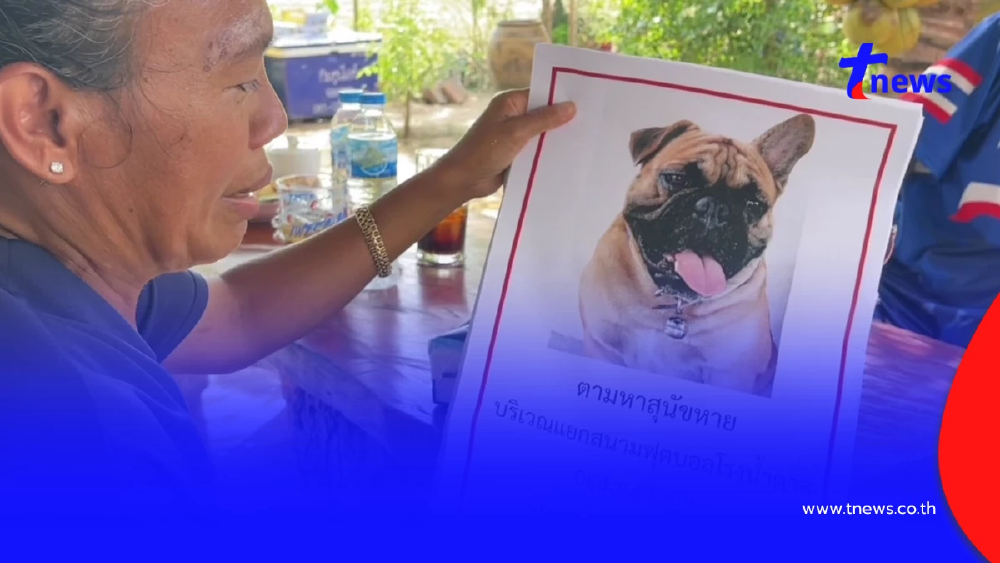 วอนคืนลูกรัก! สาวสุรินทร์ตามหาสุนัขหาย นำส่งคืนรับเงิน 2 หมื่น